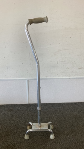 Standing Cane