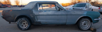 1966 FORD MUSTANG - PROJECT GEM! - 6