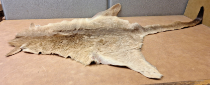 KANGAROO HIDE