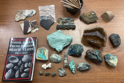 LOT OF VARIOUS GEODES/ROCKS