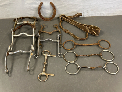 ANTIQUE/VINTAGE EQUESTRIAN BITS, HORSE SHOE AND LEATHER STRAP