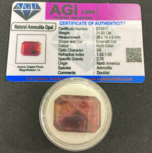 31.65ct Certified Natural Ammolite Opal - Multicolor Emerald Cut