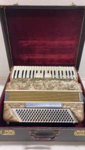 Video 120-Button/41-Key Accordion in Case