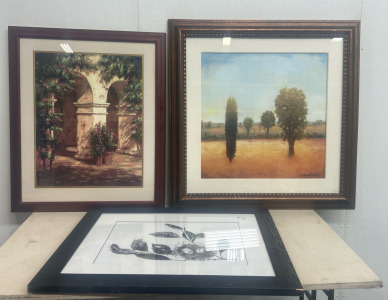 (3) Framed Pictures