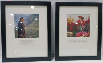 (2) Beautiful 16"&times;20" Framed Prints