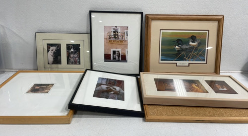 (5) Framed Photographs (1) Bulletin Board (1) Duck Painting