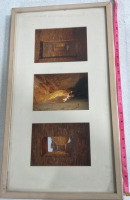 (5) Framed Photographs (1) Bulletin Board (1) Duck Painting - 9