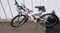 24” Next Gauntlet Bicycle (Pink & White)