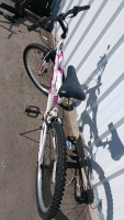 24” Next Gauntlet Bicycle (Pink & White) - 2