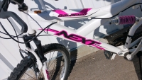 24” Next Gauntlet Bicycle (Pink & White) - 3