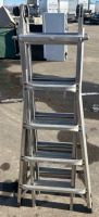 22&rsquo; Werner Ladder