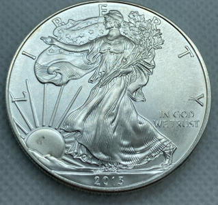 2013 Walking Liberty One Troy Ounce .999 Fine Silver Coin&mdash; Verified Authentic