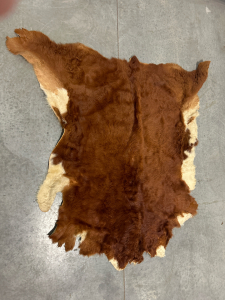 Genuine Cowhide