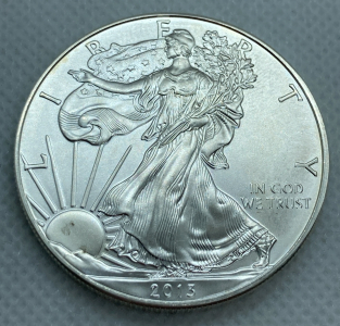 2013 Walking Liberty One Troy Ounce .999 Fine Silver Coin&mdash; Verified Authentic