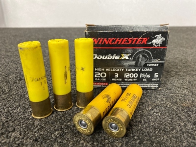(10) Rnds Winchester 20ga 3&rdquo; Shotgun Shells
