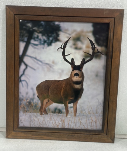 (1) Framed Leon Parson Elk Painting (1) Framed Deer Photograph (1 ...