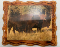 (1) Turkey Feather Mount (1) Limited Edition Native Harmony of the Where Paths Meet (1) Native Picture and (1) Buffalo Plaque - 6