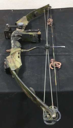 Compound Bow