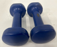 (1) Pair Jump Sole Calf Workout Shoes (2) 8 Lbs Rubber Coated Dumbbells (2) 5 Lbs Rubber Coated Dumbbells (2) 2 Lbs Ruber Coated Dumbbells (1) 3 Lbs Iron Dumbbell (1) Red Milk Crate - 4