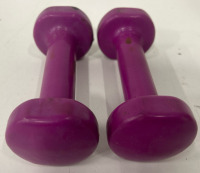(1) Pair Jump Sole Calf Workout Shoes (2) 8 Lbs Rubber Coated Dumbbells (2) 5 Lbs Rubber Coated Dumbbells (2) 2 Lbs Ruber Coated Dumbbells (1) 3 Lbs Iron Dumbbell (1) Red Milk Crate - 5