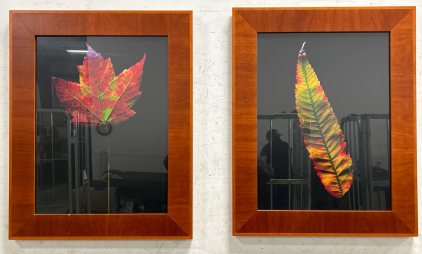 (2) 24”x30” Wood Framed Vivid Leaf Print Wall Hanging