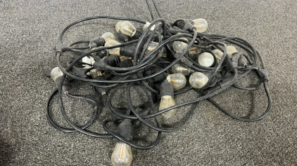 Heavy Duty Outdoor Plug in Lights ( Works)