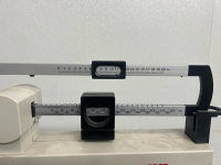 Seca Body Scale - 3