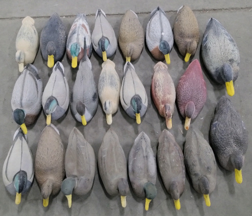 (18) Plastic Duck Decoys (5) Rubber Decoys