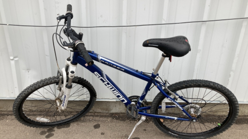 24” Schwinn Ranger Bicycle (Blue)