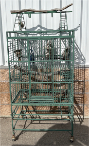 Rolling 5-1/2' Bird Cage