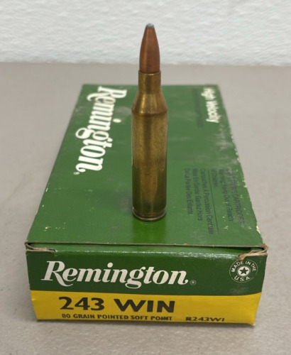 (20) Rounds Remington 243 WIN 80 Grain Pointed Soft Point