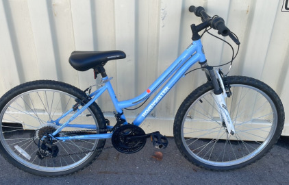 20" Roadmaster Bicycle (Blue)