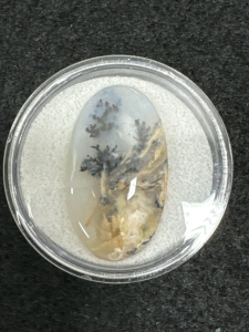 Yellow Tiger Dendrite Agate Cabochon Gemstone
