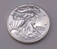 1 Troy OZ .999 Fine Silver Walking Liberty Silver Round