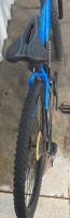 29" Mongoose Star Bicycle - 3