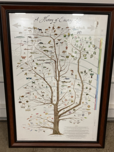 Framed “A History of Existing Life” Print