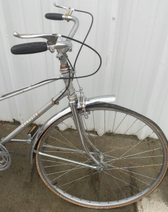 Dynasty Bicycle 25&rdquo;