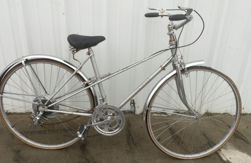 Dynasty Bicycle 25”