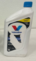 (7) Valvoline Daily Protection SAE 5W-20 Synthetic Blend Motor Oil 1 QT (1) Valvoline 174 5W20 Oil - 3