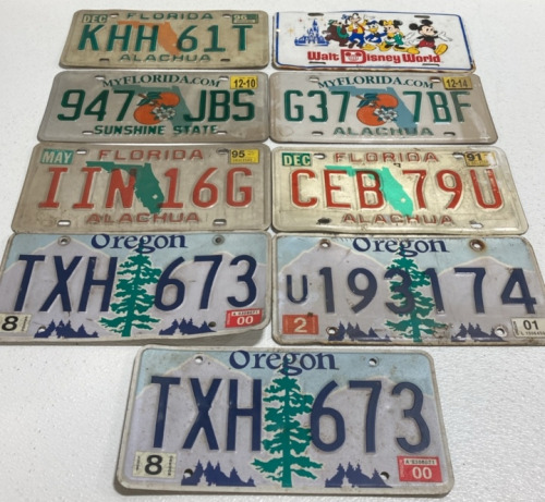 (3) Oregon 2000s Plates, (5) Aluchua, Florida Plates, (1) Walt Disney World Plates