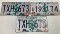 (3) Oregon 2000s Plates, (5) Aluchua, Florida Plates, (1) Walt Disney World Plates - 2