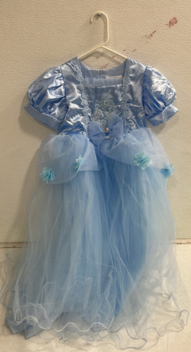 (1) Youth Blue Cinderella Dress