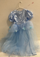 (1) Youth Blue Cinderella Dress - 2