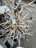 (1) Deer Antler Chandelier (1) Carousel Horse & More! - 2