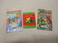 (28) Assorted Books & (2) Comics - 6