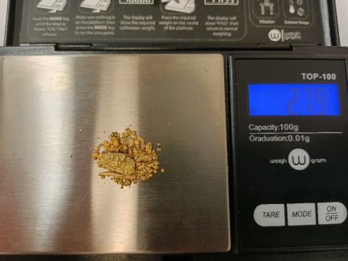 Local Gold 2.79g