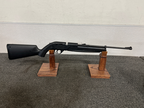 760 Pump Master Air Rifle