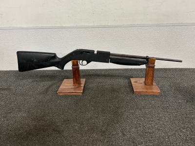 760 Pump Master Air Rifle