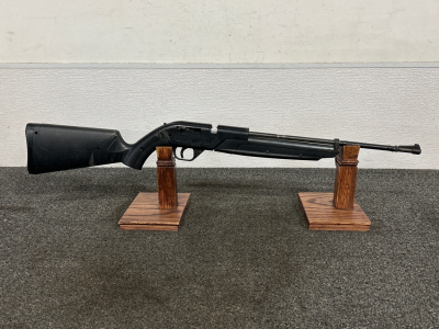 760 Pump Master Air Rifle