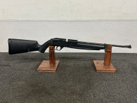760 Pump Master Air Rifle
